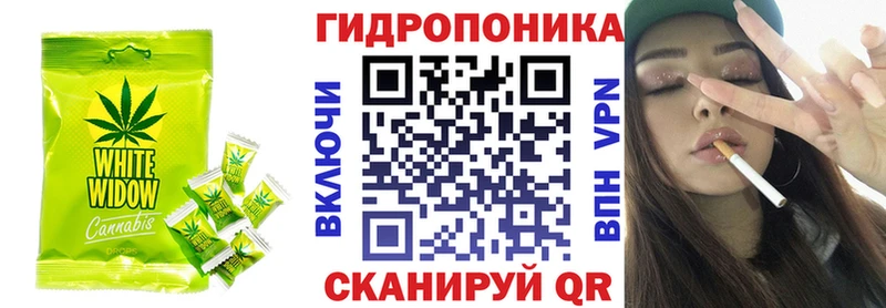 Canna-Cookies марихуана ОМГ ОМГ вход Ачхой-Мартан где найти