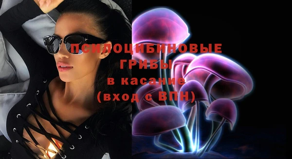 МДПВ Алексин