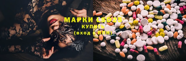 ПСИЛОЦИБИНОВЫЕ ГРИБЫ Алзамай