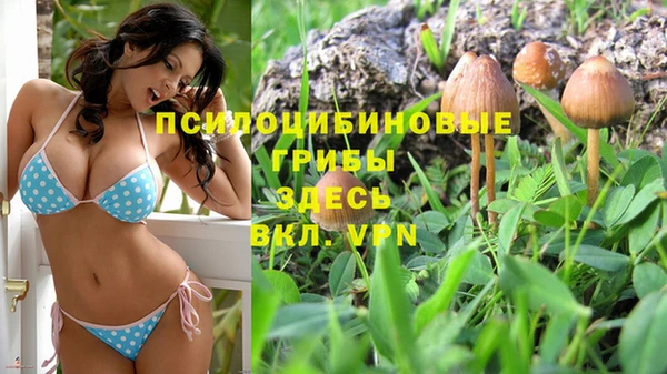 каннабис Абдулино